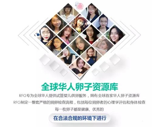 供卵试管婴儿医院(供卵试管婴儿医院:筑梦新生命)