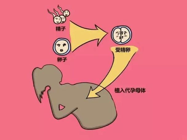 代生孩子是什么意思啊_代生孩子是什么意思啊?深度解析代孕背后的含义