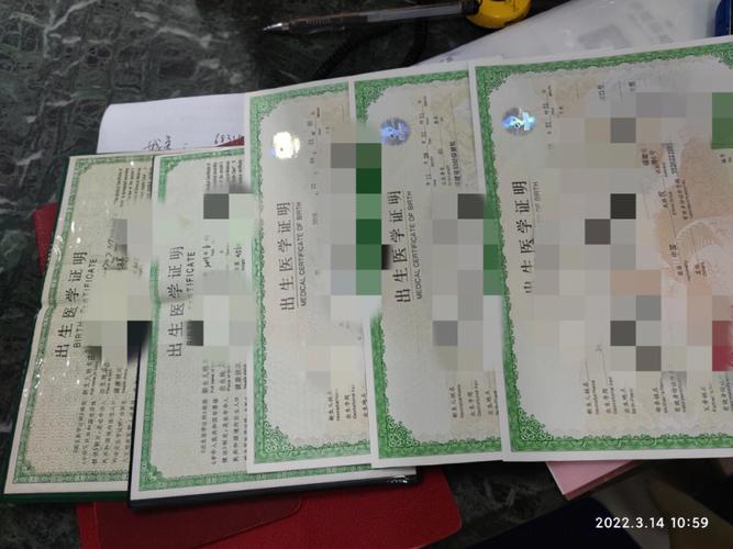 代生儿子费用【代生儿子费用：选择合适的方式来实现您的梦想】