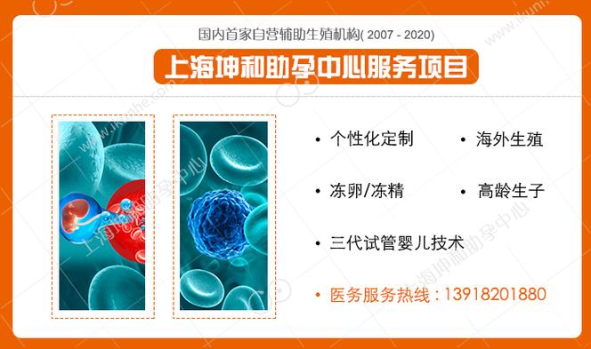 供卵试管代怀合法公司【供卵试管代怀合法公司:您的最佳选择】