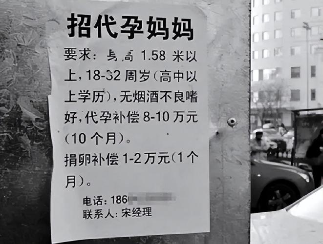 供卵一个要多少钱(供卵一个要多少钱?代孕市场的价格揭秘)