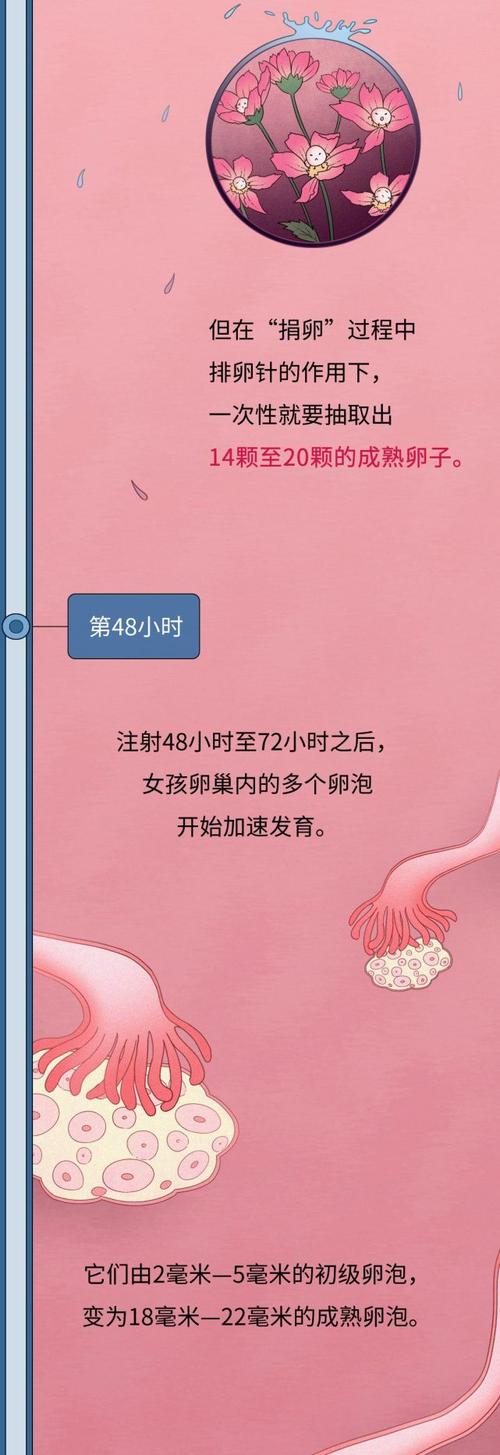 供卵之前要调理身体吗【供卵前需调理身体吗?】
